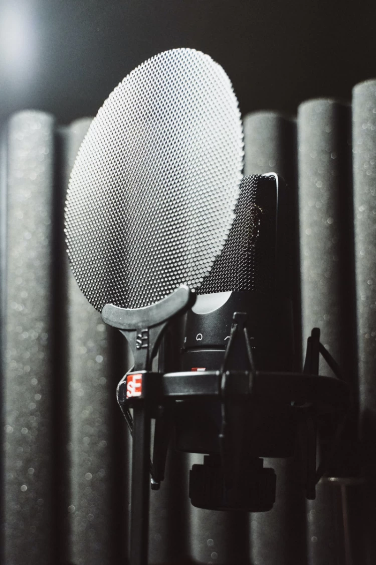 Condenser Microphone With Metal Pop Filter