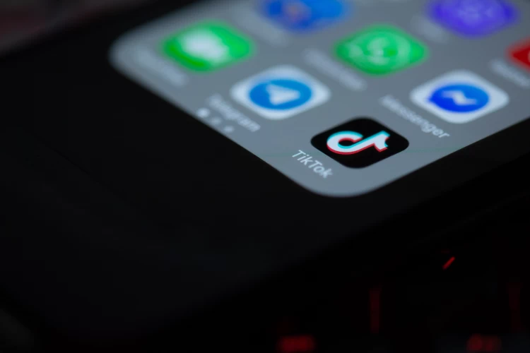 The Year In Music On TikTok 2022